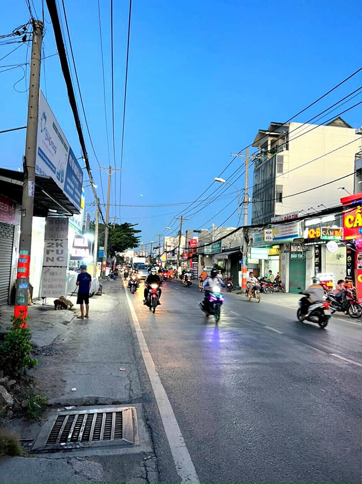 Bán đất quận 2 thành phố Hồ Chí Minh giá 6.5 tỷ-3