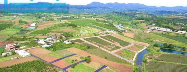 Nằm tại Lý Thái Tổ, Lâm Đồng bán đất 716 triệu tổng diện tích là 179m2-02