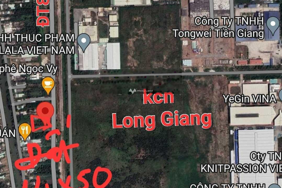 Bán đất Tân Lập 1, Tiền Giang toàn bộ khu vực có diện tích 715m2-01