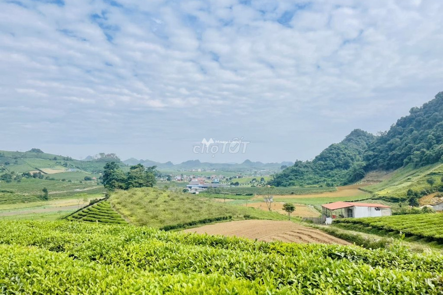 Tại Phiêng Luông, Sơn La bán đất 2.55 tỷ diện tích khoảng là 767m2-01