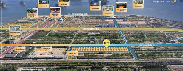 Nằm tại Vân Đồn, Quảng Ninh bán đất 5.6 tỷ diện tích chung 200m2-03