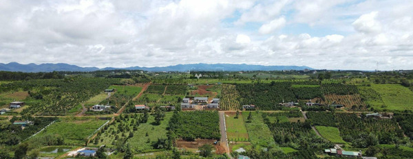 Vị trí ngay trên Bảo Lâm, Lâm Đồng bán đất giá bán bàn giao 7.1 tỷ với diện tích 7425m2-03