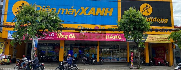 Ở Nguyễn Thị Sóc, Hóc Môn bán đất 1.8 tỷ diện tích chuẩn 445m2-03