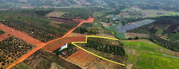 10.2 tỷ bán đất Diện tích đất 17000m2 ngay trên Di Linh, Lâm Đồng-02