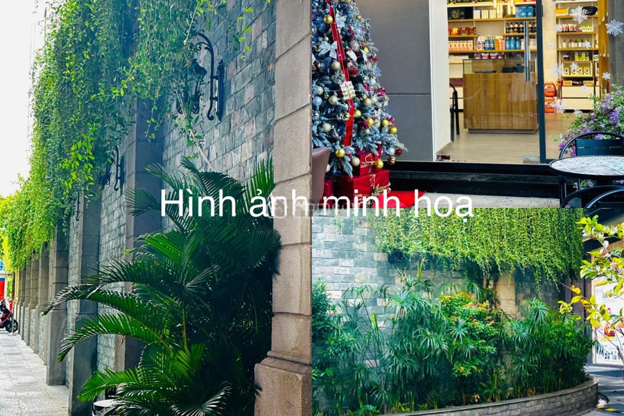 Gò Vấp, Hồ Chí Minh giá bán cực sốc chỉ 4.1 tỷ bán shophouse Diện tích đất 60m2 khuôn viên rộng rãi-01