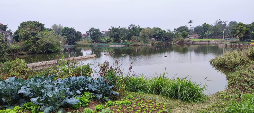 Trừng Xá, Bắc Ninh bán đất giá mềm 1.9 tỷ diện tích khoảng là 500m2