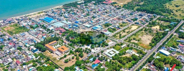 Giá cơ bản chỉ 4 tỷ bán đất tổng diện tích 220m2 vị trí đẹp ở Nguyễn Tất Thành, Phước Hải-02