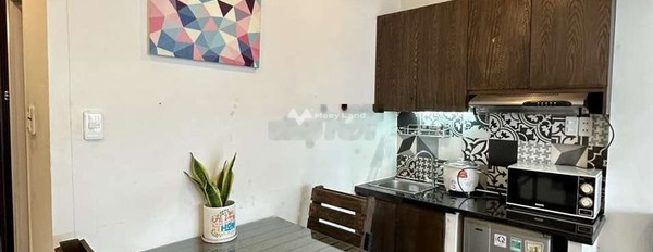 Cho thuê căn hộ vị trí đẹp tọa lạc trên Quận 1, Hồ Chí Minh, giá bàn giao 7 triệu/tháng Diện tích đất 45m2-03