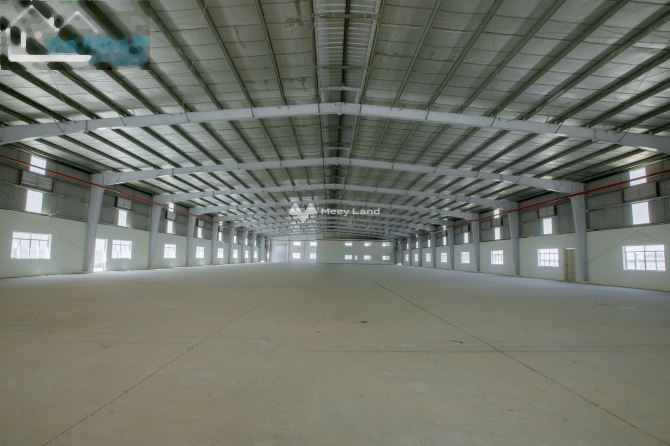 Không sử dụng hết cho thuê kho bãi tổng diện tích 12000m2 tọa lạc ngay Lộc An, Long Thành thuê ngay với giá ưu đãi từ 900 triệu/tháng vị trí trung tâm