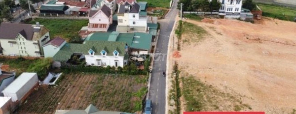 Giá 10 triệu/tháng cho thuê đất có diện tích thực là 390m2 vị trí mặt tiền nằm tại Phường 8, Lâm Đồng, hướng Đông-02