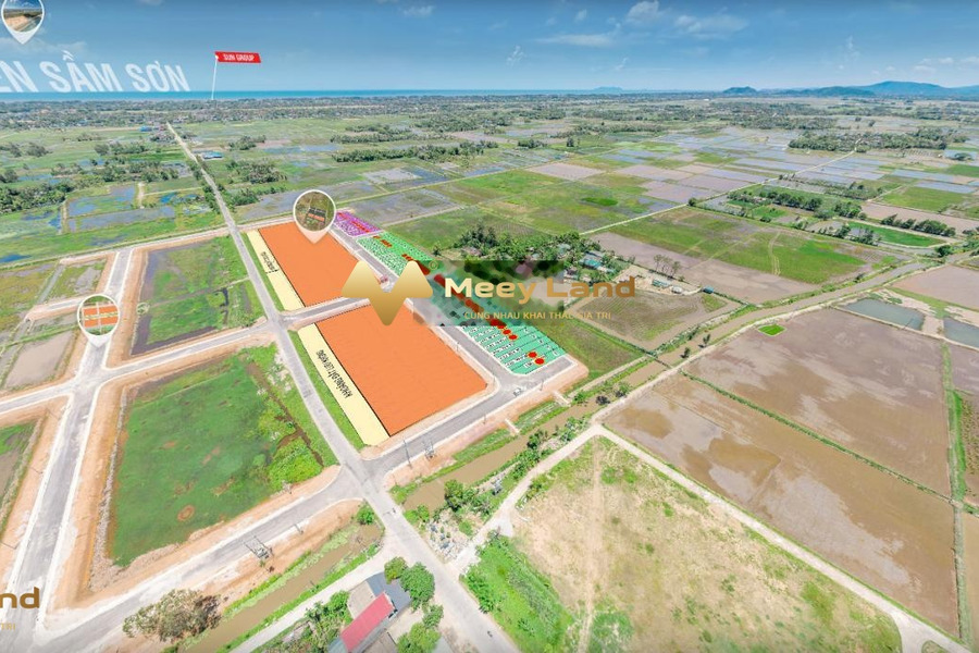 Giá đàm phán 1.1 tỷ bán đất diện tích 125 m2 vị trí đặt ở Quảng Xương, Thanh Hóa, hướng Đông-Bắc-01