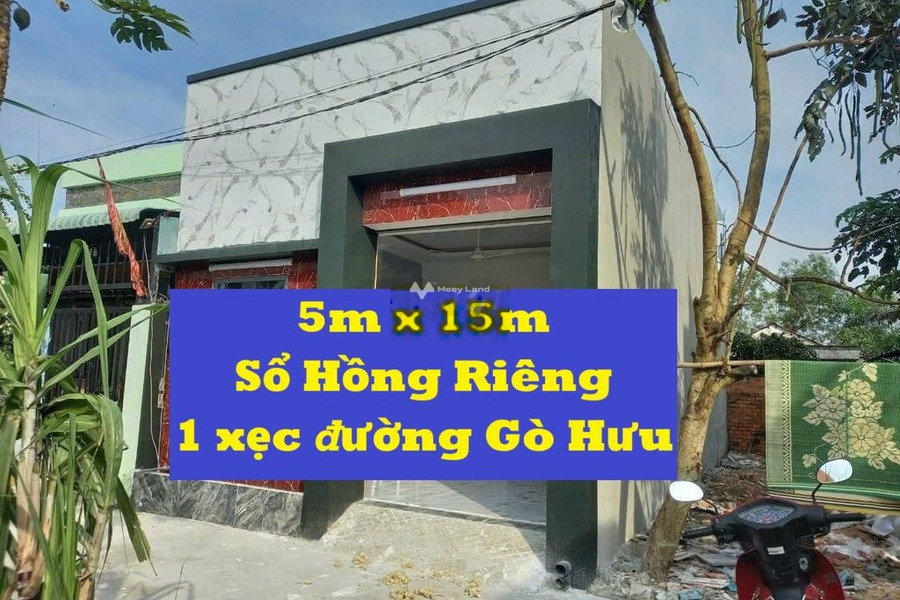 Nhà cấp 4 (5m x 15m), 1 xẹc đường Gò Hưu, Mỹ Hạnh Nam -01
