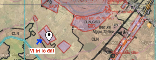Hàm Thuận Bắc, Bình Thuận 1.27 tỷ bán đất có diện tích rộng 3090m2-02