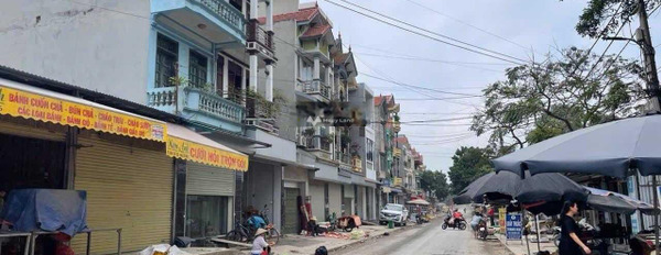 Bán đất tại Phụng Châu, Hà Nội. Diện tích 42,5m2-02