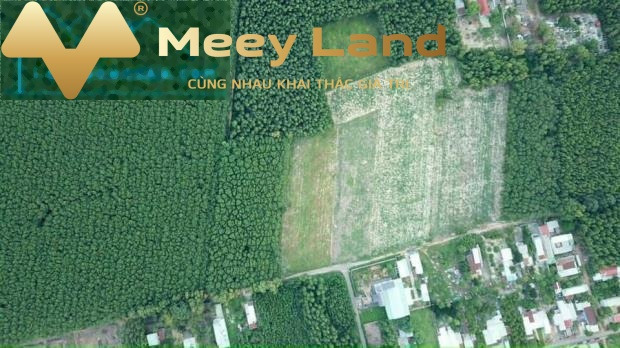 Huyện Long Thành, Tỉnh Đồng Nai 17 tỷ bán đất có diện tích chung 5956m2-01