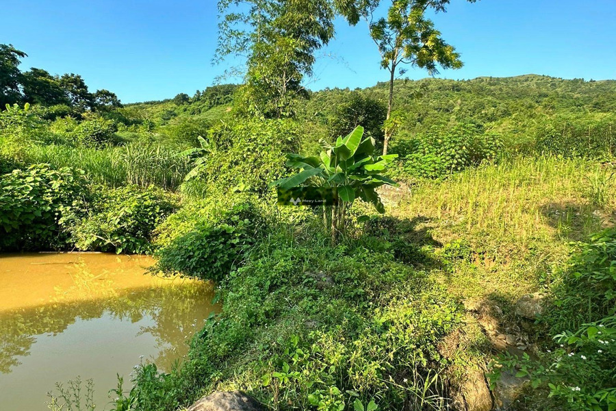 Hợp Phong, Cao Phong 785 triệu bán đất có diện tích rộng 2946m2-01