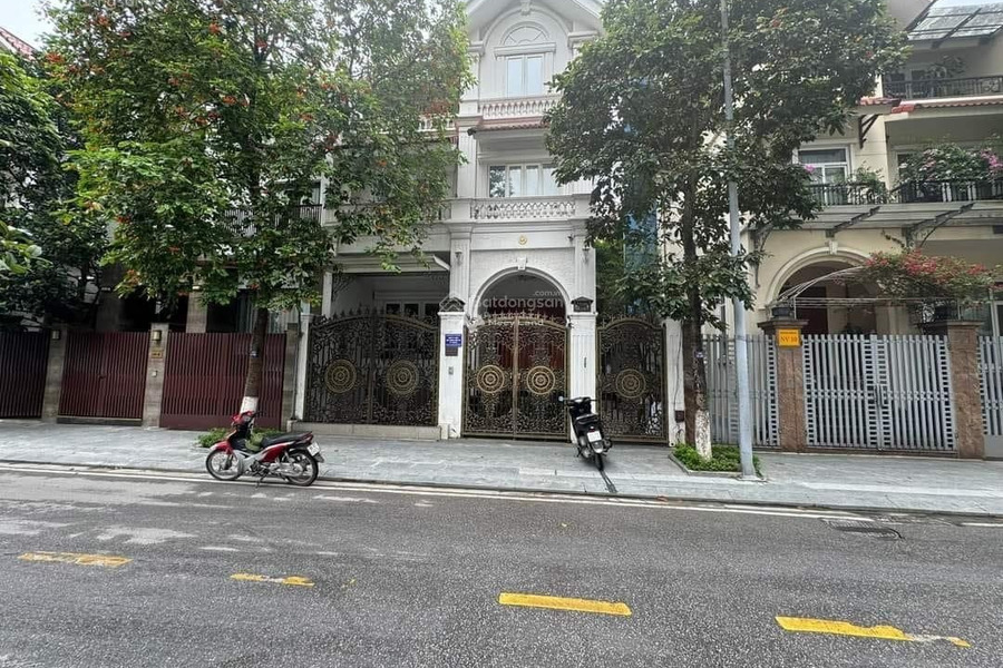 Biệt thự phố Nguyễn Huy Tưởng - Thanh Xuân 145m2 x 4T; mặt tiền 9m, chỉ hơn 300 tr/m2 - siêu hiếm -01