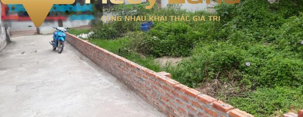 Bán đất tại Phù Lỗ, Sóc Sơn, Hà Nội. Diện tích 168m2, giá 3,9 tỷ-02