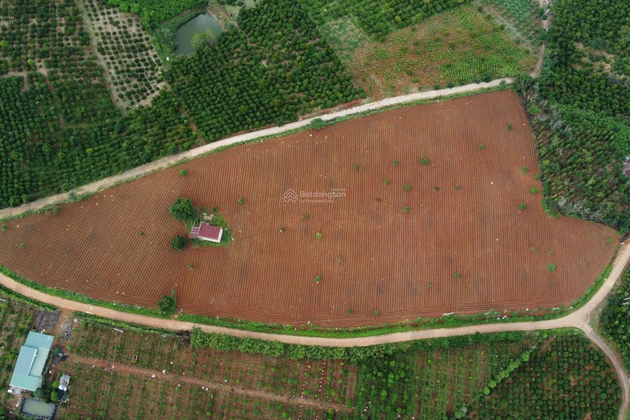 Bán đất đẹp giá rẻ tại Tân Hà, Lâm Đồng - view 360 độ, giá chỉ từ 839 triệu -01
