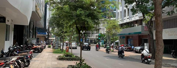 Nằm tại Nguyễn Thái Bình, Hồ Chí Minh, cho thuê nhà, thuê ngay với giá hấp dẫn chỉ 120 triệu/tháng diện tích thực như trên hình 240m2 giá siêu rẻ-03
