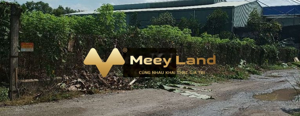 Giá bán giao động 55 tỷ bán đất dt thực 3885m2 vị trí đặt tọa lạc ngay ở Bình Mỹ, Hồ Chí Minh-03