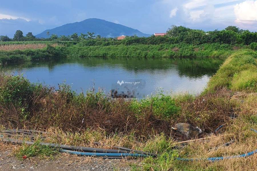 8.5 tỷ bán đất diện tích chuẩn 20000m2 vị trí cực kì thuận lợi ngay tại Bảo Hòa, Đồng Nai-01