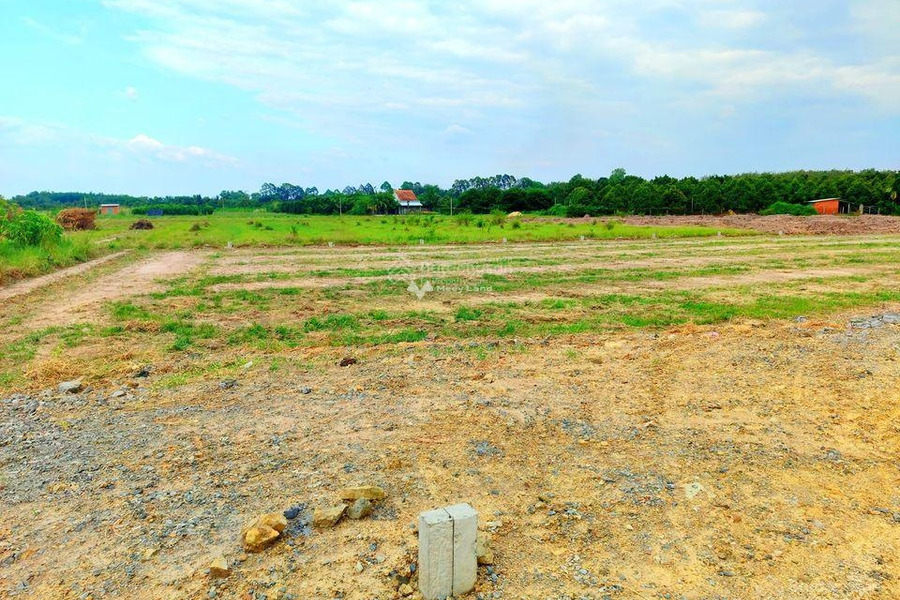Phước Đông, Gò Dầu bán đất giá bán chốt nhanh 430 triệu diện tích chuẩn 125m2-01