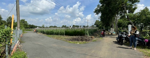 Bán đất 700 triệu Xuân Lộc, Đồng Nai với diện tích khoảng 120m2-02