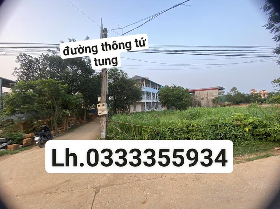 Bán nhà riêng huyện Thạch Thất thành phố Hà Nội giá 20.0 triệu/m2-0
