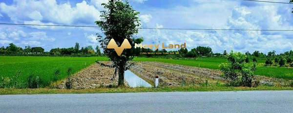 Giá thương lượng 1.2 tỷ bán đất dt rộng là 792 m2 tại Đường Quốc Lộ 61C, Tỉnh Hậu Giang, hướng Đông Nam-03