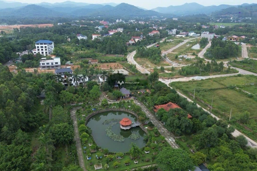 9 tỷ bán đất có diện tích sàn 1000m2 vị trí mặt tiền nằm tại Phúc Yên, Vĩnh Phúc-01