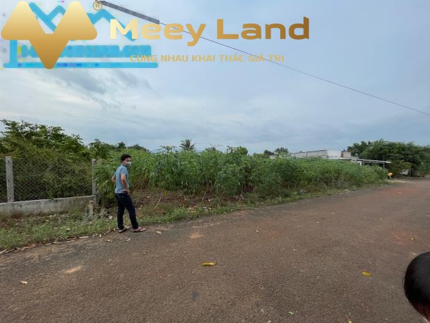Bán đất huyện Xuyên Mộc, Bà Rịa - Vũng Tàu, diện tích 1379m2, giá 4,5 tỷ-01
