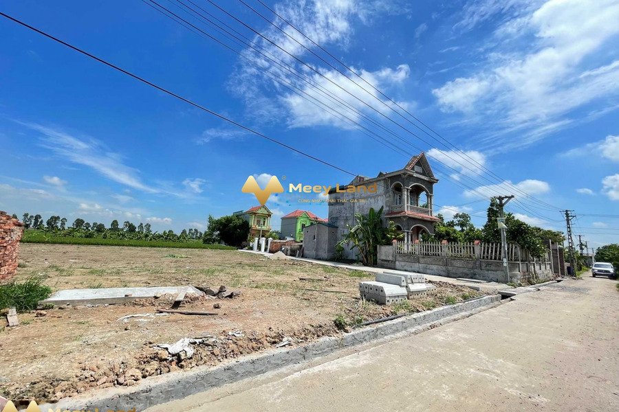 Đầu tư bất động sản bán mảnh đất, 70 m2 giá bán khoảng từ 560 triệu nằm trên Lê Quang Hòa, Hưng Yên, hướng Nam vị trí thuận lợi-01