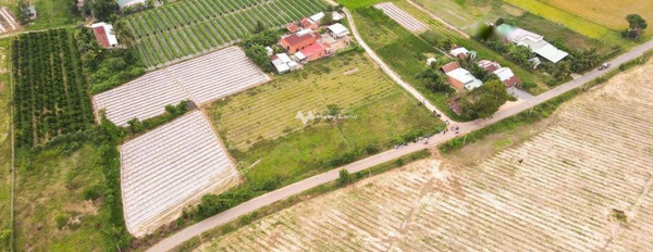 Tại Bến Cầu, Tây Ninh bán đất 550 triệu diện tích mặt tiền 161m2-02