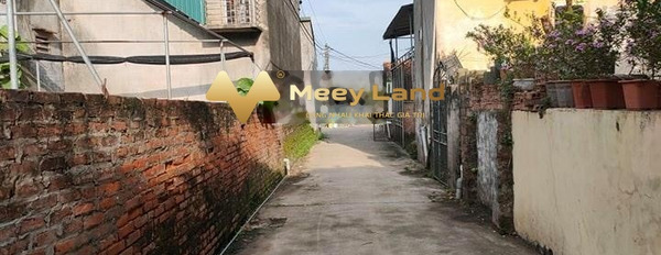 Vị trí tốt đặt nằm ngay Xã Xuân Quan, Huyện Văn Giang bán đất giá bán mua liền chỉ 11.5 tỷ diện tích 515 m2-03