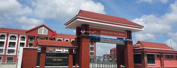 Vị trí tốt ngay Tân Bình, Bình Dương bán đất giá bán khởi đầu từ 281 triệu diện tích rộng rãi 80m2-02