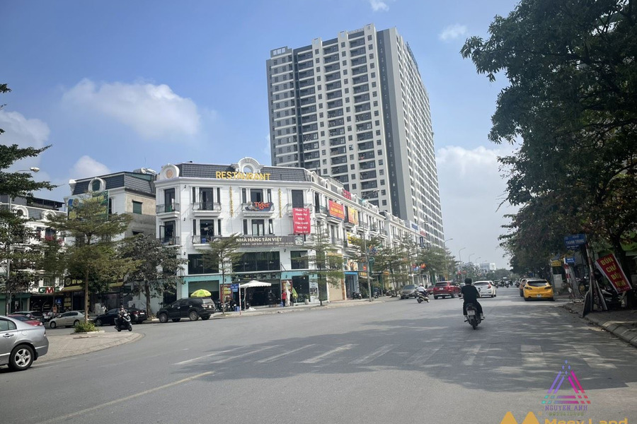 Duy nhất 90m2 shophouse Sông Hồng đã hoàn thiện mặt phố Thành Trung, Gia Lâm-01
