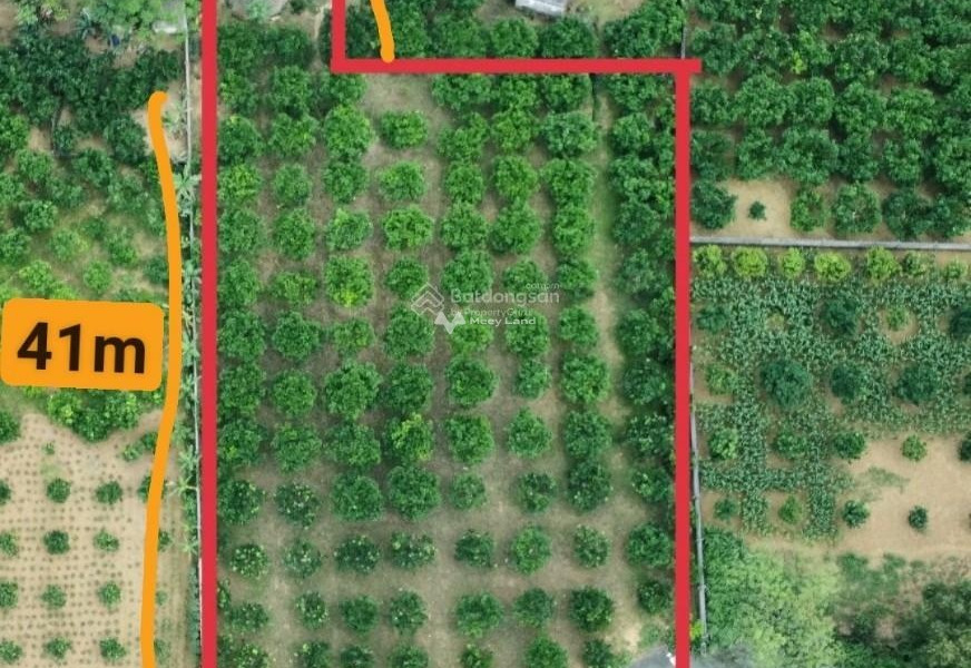 Cắt lỗ bán mảnh đất, 2000m2 giá bán tốt bất ngờ 1.5 tỷ vị trí thuận lợi nằm trên Yên Thủy, Hòa Bình giá mềm sinh viên-01