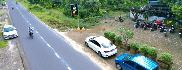 Bán đất đường Đinh Tiên Hoàng, xã Cam Hải Tây giá bán rẻ bất ngờ chỉ 6,6 tỷ-03