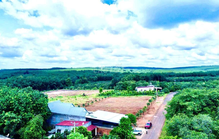 700 triệu bán đất diện tích tầm trung 200m2 vị trí nằm tại Thuận Phú, Bình Phước-01