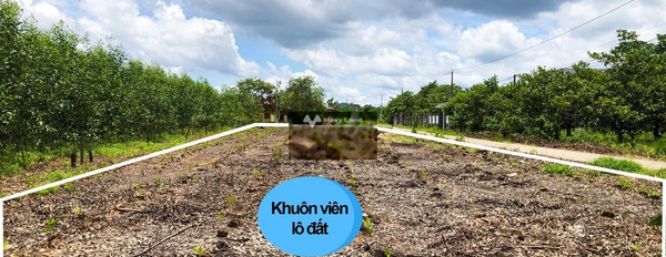 Bán đất 3.2 tỷ Xuân Hòa, Đồng Nai diện tích thực khoảng 1083m2-03
