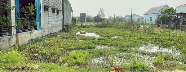 Bán đất tại Phú An, Phú Vang, Thừa Thiên Huế. Diện tích 140m2-02