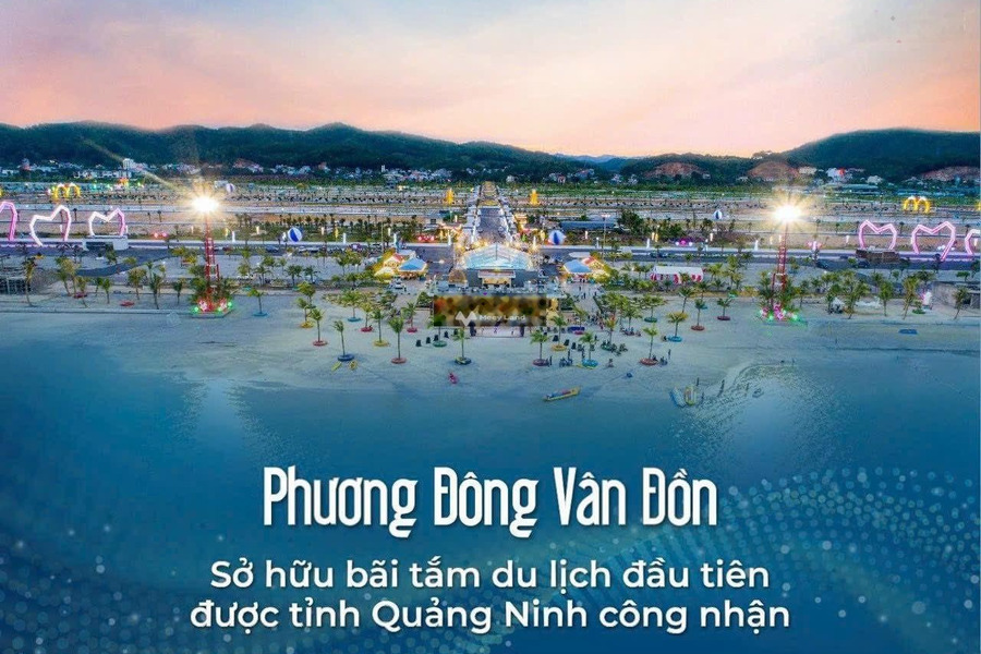 Bán đất vị trí mặt tiền nằm tại Vân Đồn, Quảng Ninh. Diện tích 87,5m2-01