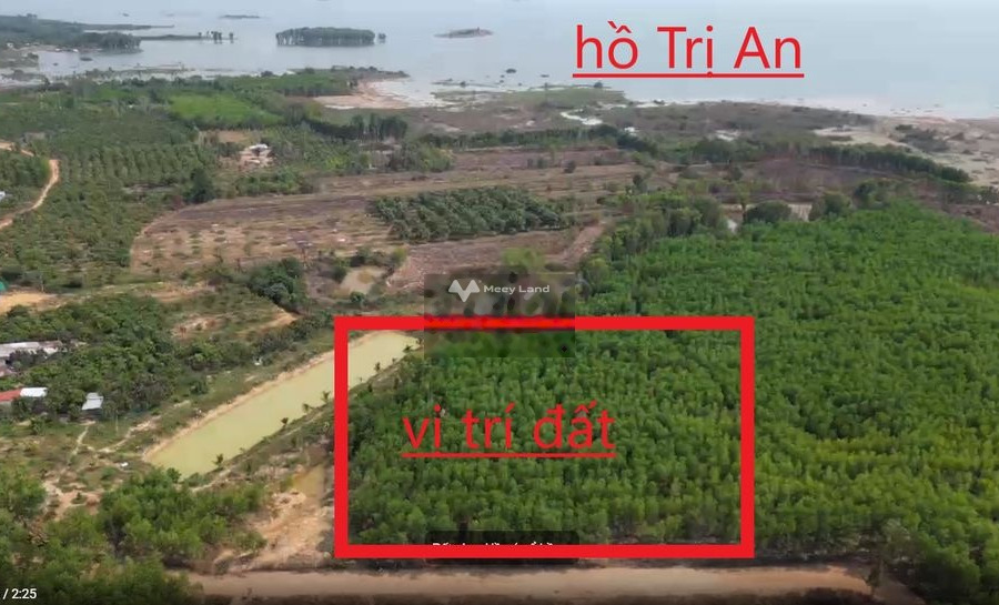 Vị trí ở Thanh Sơn, Đồng Nai bán đất, giá bán liền 1.4 tỷ diện tích như sau 5449m2-01