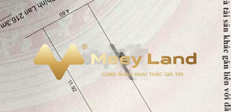 Bán đất giá 2,15 tỷ Cù Chính Lan, Thanh Khê-03