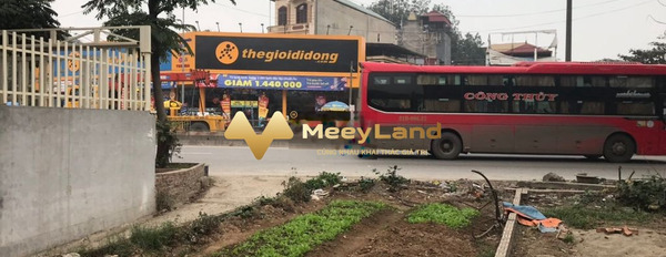 Vị trí đặt ngay trên Đường Võ Văn Kiệt, Thị Trấn Quang Minh cho thuê đất thuê ngay với giá bất ngờ 2,7 triệu/tháng-02