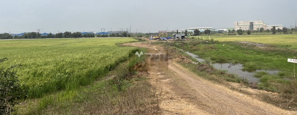 Gấp bán mảnh đất, 2100m2 giá bán cơ bản từ 7.2 tỷ vị trí đặt tọa lạc tại Hồ Chí Minh, Lộc Giang, hướng Bắc lh xem trực tiếp-02