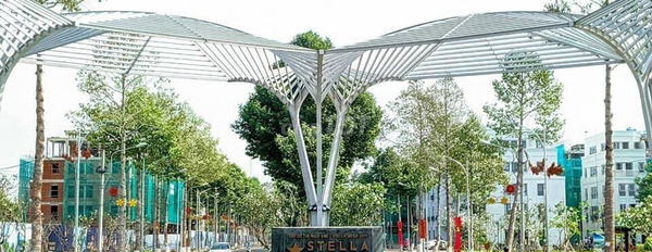 Stella Mega City - Phú Mỹ Hưng tại Miền Tây, 100m2, giá 2,5 tỷ-02