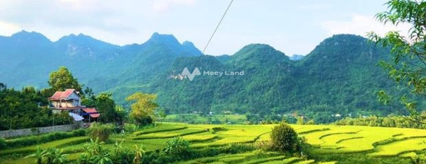 Ảnh hưởng dịch bán mảnh đất, 3468m2 giá bán giao lưu 3.5 tỷ vị trí đẹp ngay Tú Sơn, Kim Bôi giá siêu rẻ-03