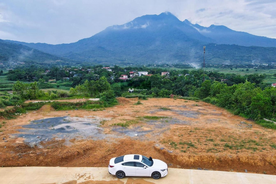 Ba Vì, Hà Nội bán đất giá đề xuất 5.2 tỷ với diện tích tiêu chuẩn 1300m2-01